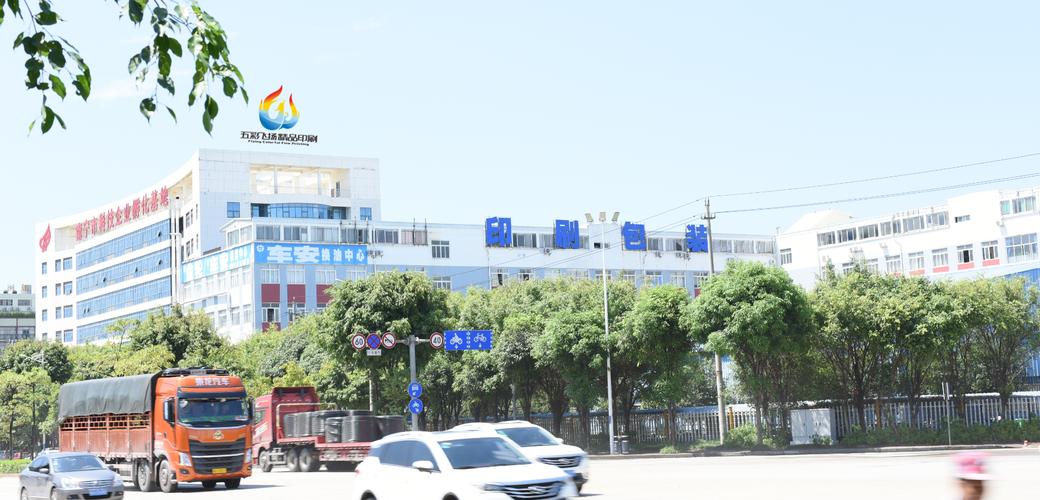 业务涵盖本地出版物印刷,包装装潢印刷,其他印刷品印刷;印制纸和纸
